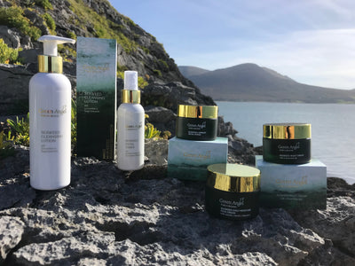 New Arrival of the Green Angel Seaweed Gift Collection